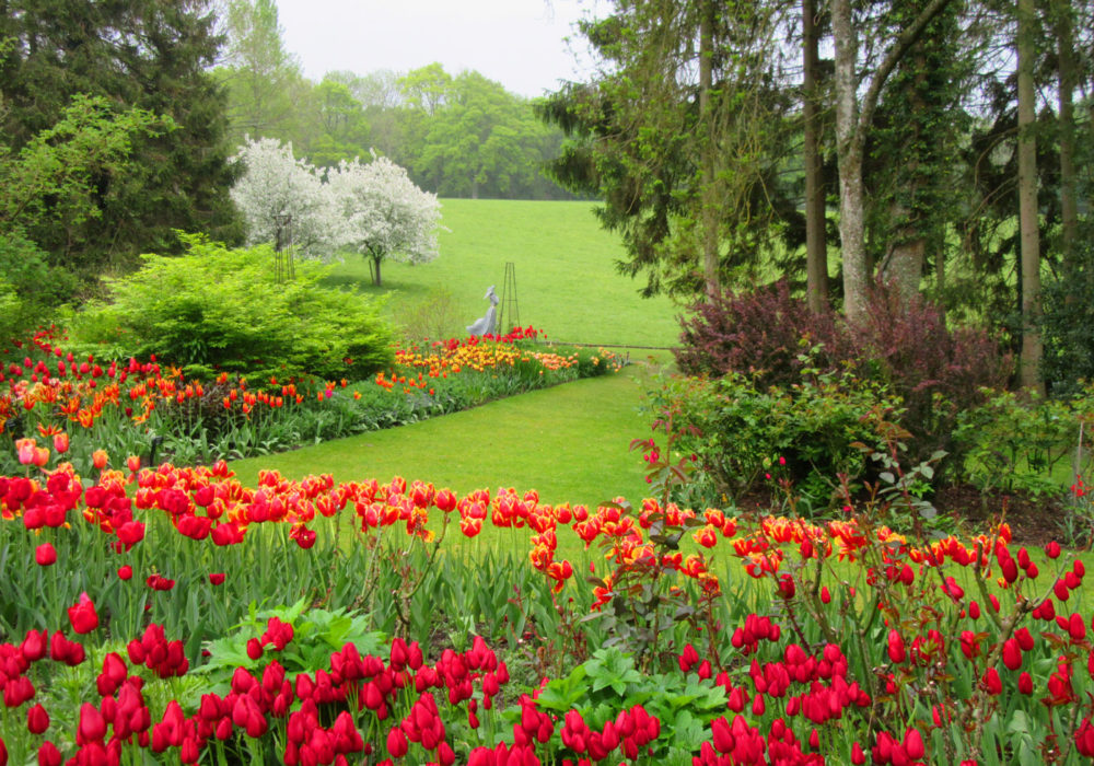 PASHLEY MANOR GARDENS Herbaceous Borders By Kate Wilson 1