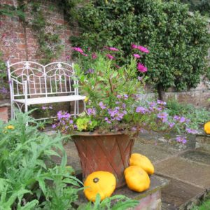 PASHLEY MANOR GARDENS Kitchen Garden Pot By Kate Wilson