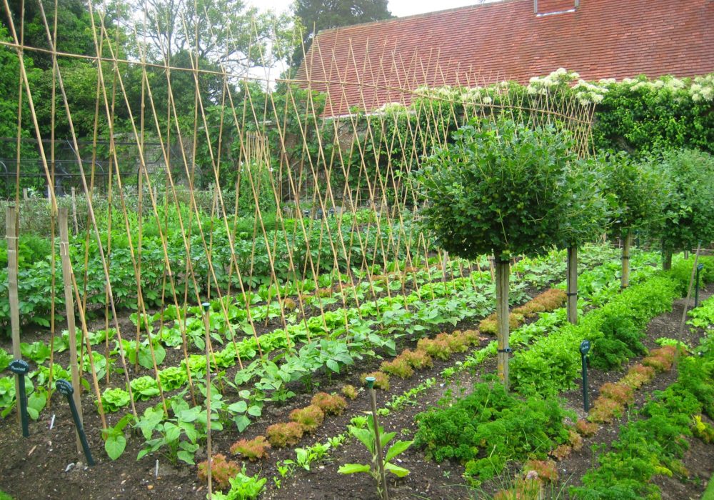 PASHLEY MANOR GARDENS Late Spring Early Summer Kitchen Garden By Kate Wilson