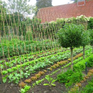 PASHLEY MANOR GARDENS Late Spring Early Summer Kitchen Garden By Kate Wilson