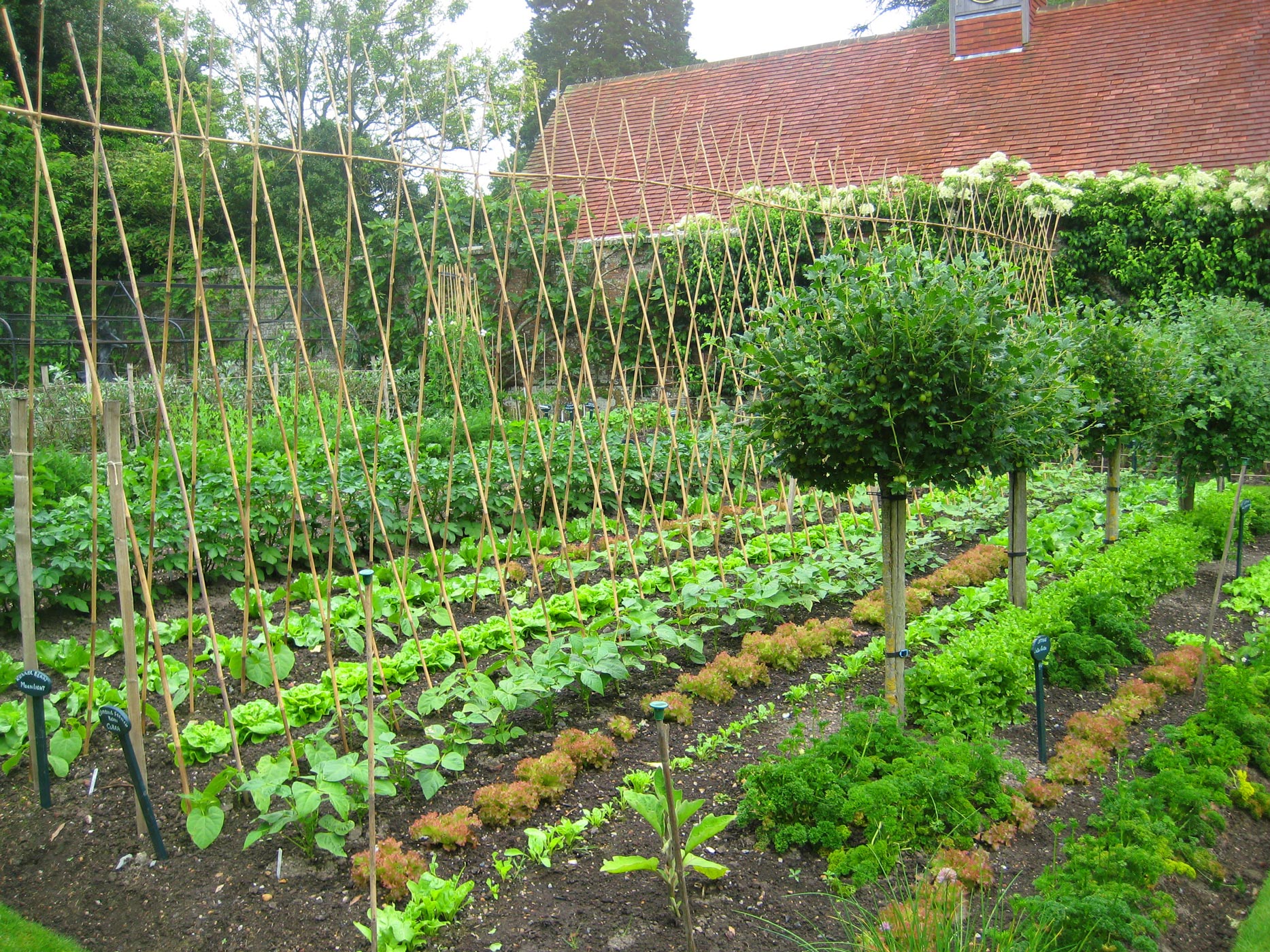 Full Time Kitchen Gardener Needed