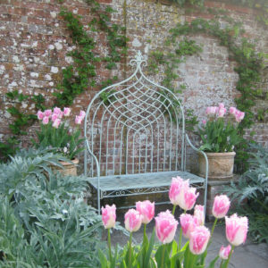PASHLEY MANOR GARDENS Pink Tulips And Bench By Kate Wilson
