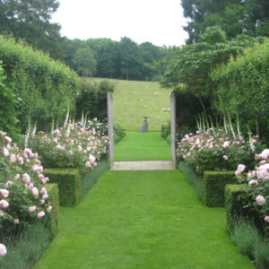 Pashley Manor Gardens Rose Walk By Kate Wilson