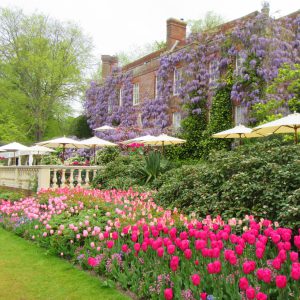 PASHLEY MANOR GARDENS Back Terrace By Kate Wilson