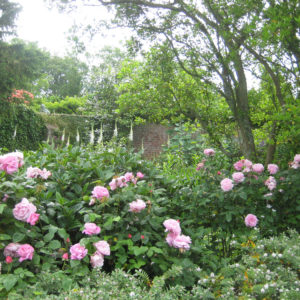 PASHLEY MANOR GARDENS By Stellata Bed By Kate Wilson