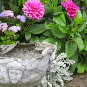 PASHLEY MANOR GARDENS Dahlias And Pot By Kate Wilson For Poster