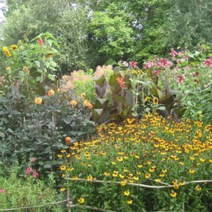 PASHLEY MANOR GARDENS Early Autumn Borders By Kate Wilson