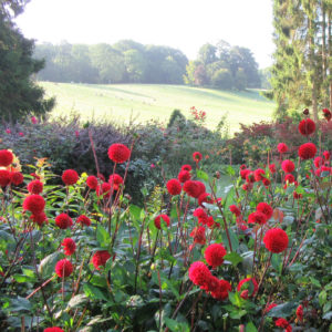 PASHLEY MANOR GARDENS Hot Borders In August By Kate Wilson