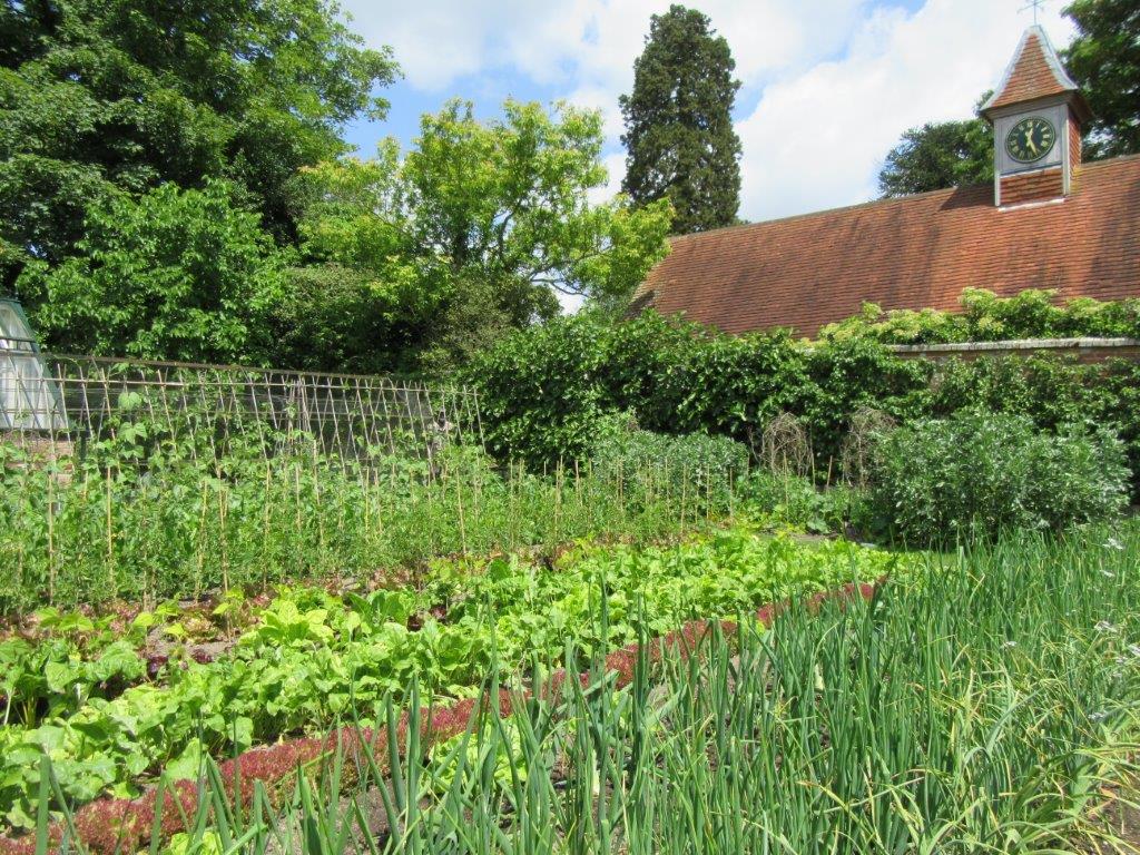 Kitchen Garden Week