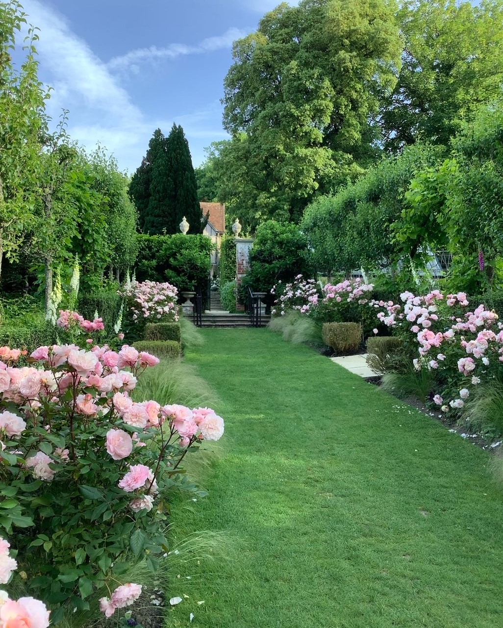 PASHLEY MANOR GARDENS Rose Walk 2022