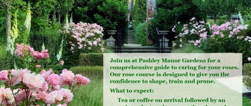 Rose Courses At Pashley