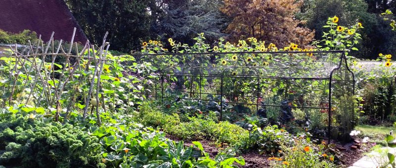 Kitchen Garden Week