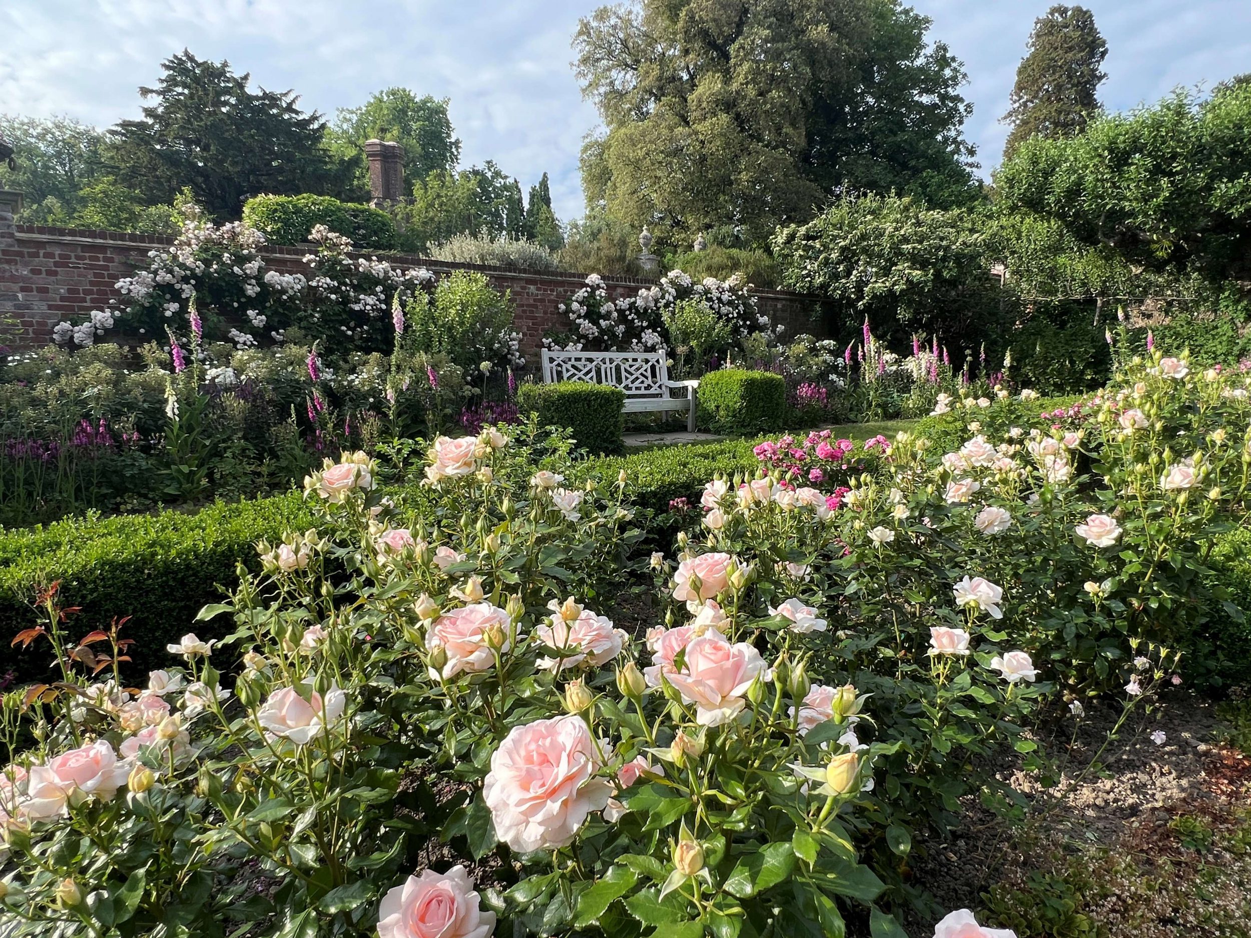 Pashley Manor Gardens Rose Garden Alastair Harding Smaller MB